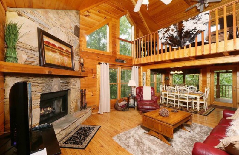 Cabin living room at Little Valley Mountain Resort.
