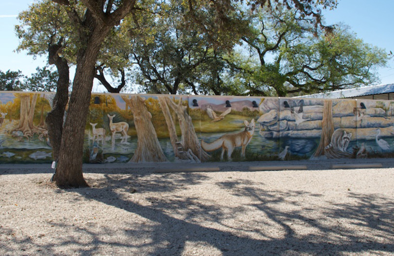 Mural at Hotel Flora & Fauna.