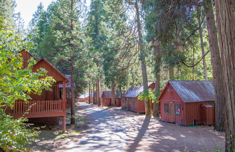 Exterior view of Trinity Alps Resort.