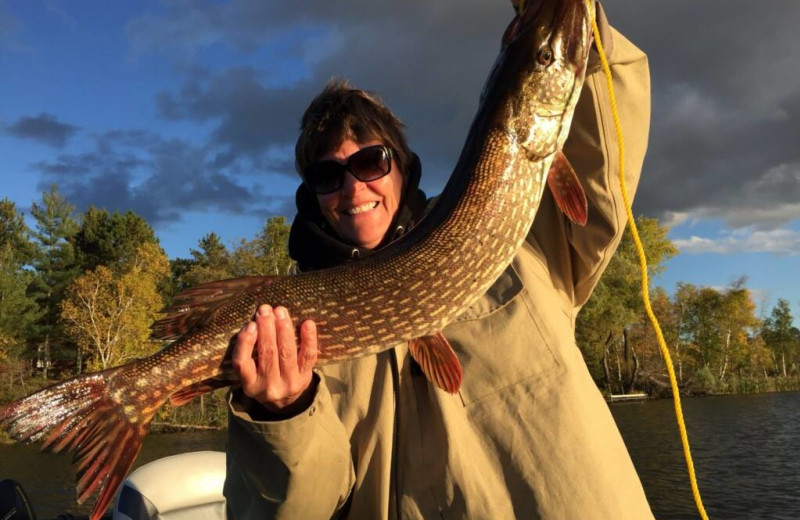 Fishing at Breezy Point Resort on Straight Lake.