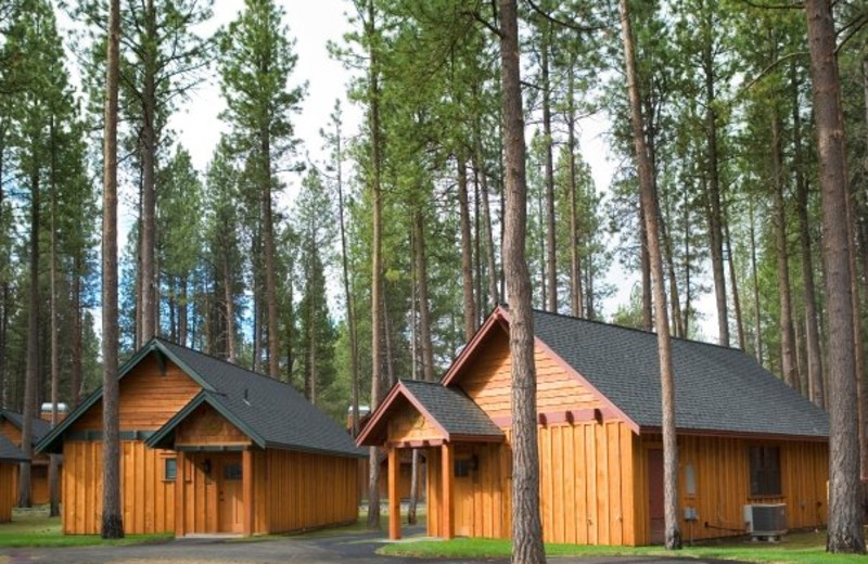 Cabin exterior at FivePine Lodge.