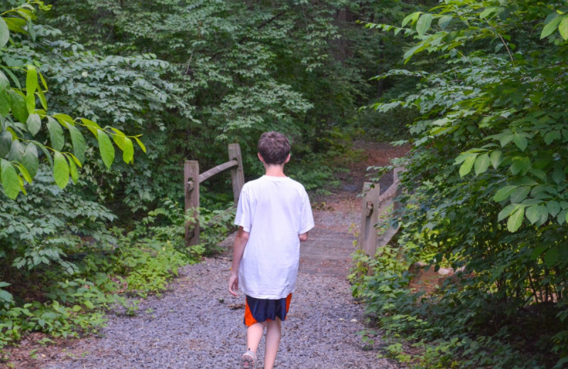 Hiking at Yogi at Shangri-La - Jellystone Park.