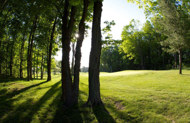 Golf course at Lakeview Hills Golf Resort.