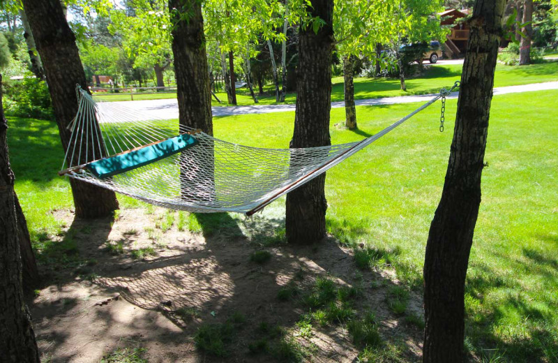 Hammock at Streamside on Fall River.