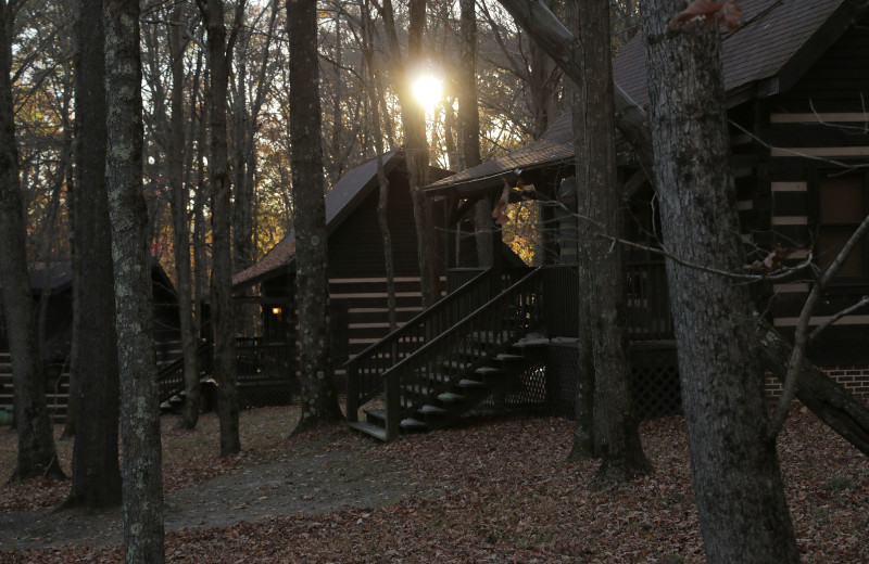 Cabins at Savage River Lodge.