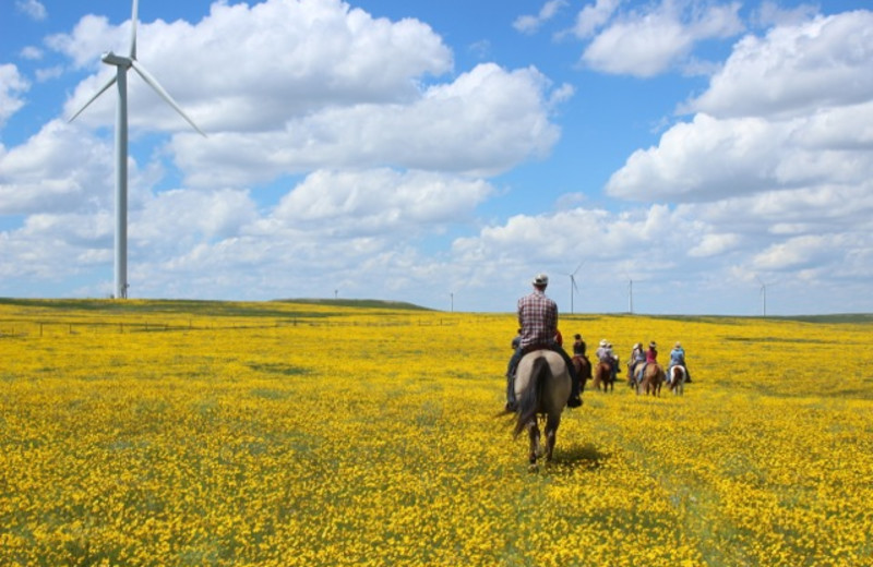 Horseback riding at Colorado Cattle Company Ranch.