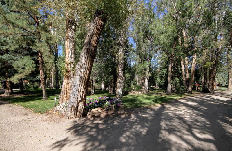 Grounds at River Orchard Place.