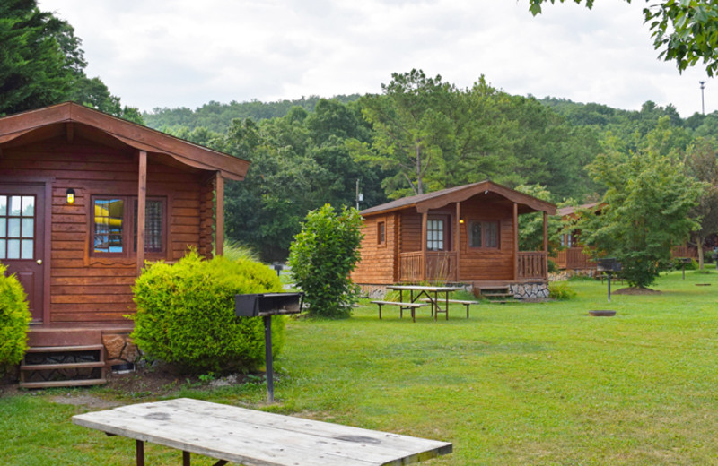 Cabins at Yogi Bear's Jellystone Park Luray.