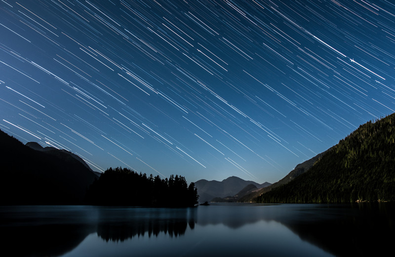 Stars at Grizzly Bear Lodge & Safari.