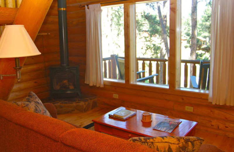 Cabin living room at Newton Fork Ranch.