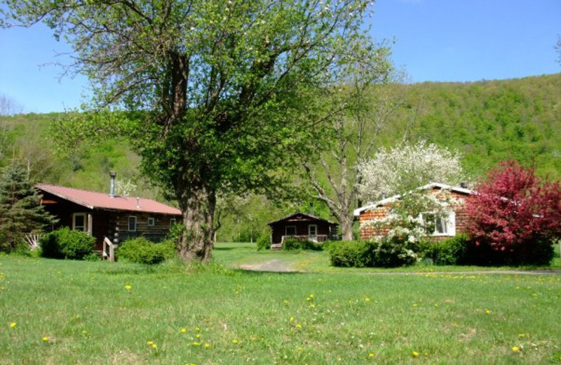 Cabin exterior at Cold Spring Lodge.