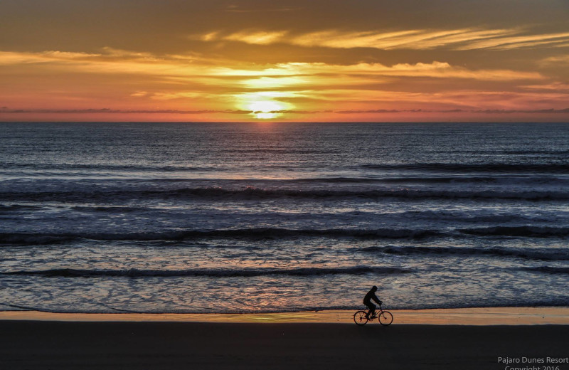 Beach biking at Pajaro Dunes Resort.