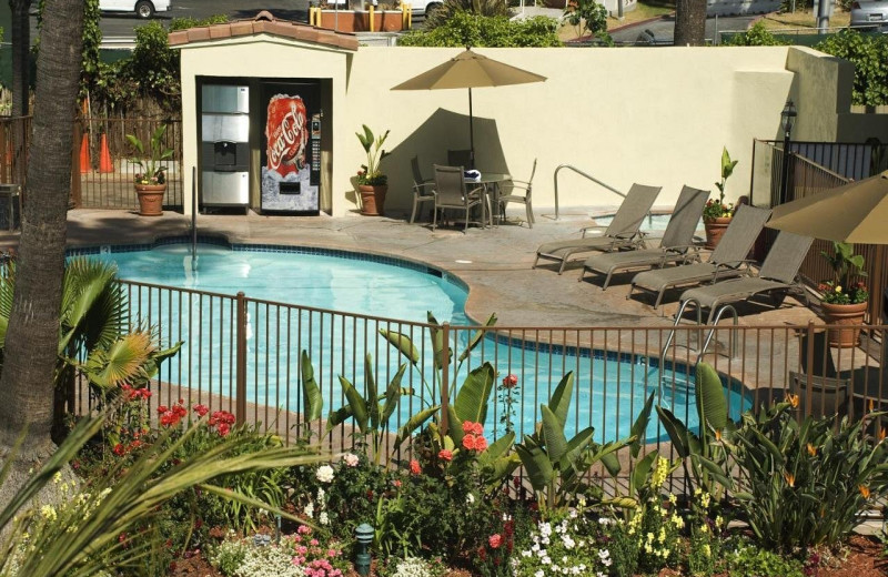 Outdoor pool at Hotel Iris.