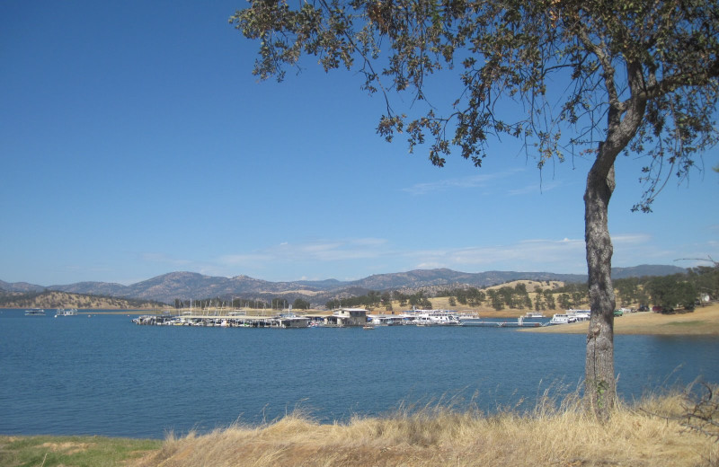 View of Lake Don Pedro.