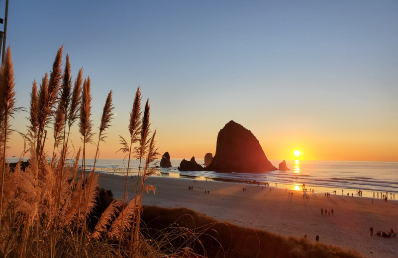 Beach at Hallmark Resort & Spa Cannon Beach.