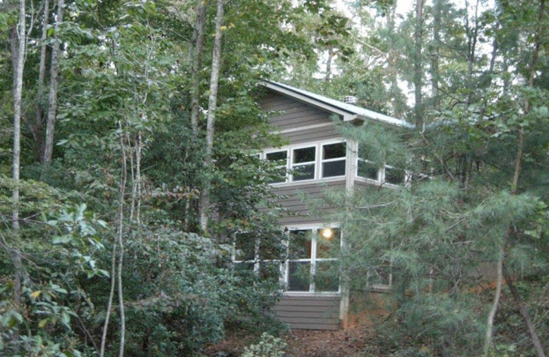 Cabin exterior at Sautee Mountain Retreat.