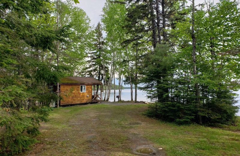 Cabin exterior at The Birches Resort.