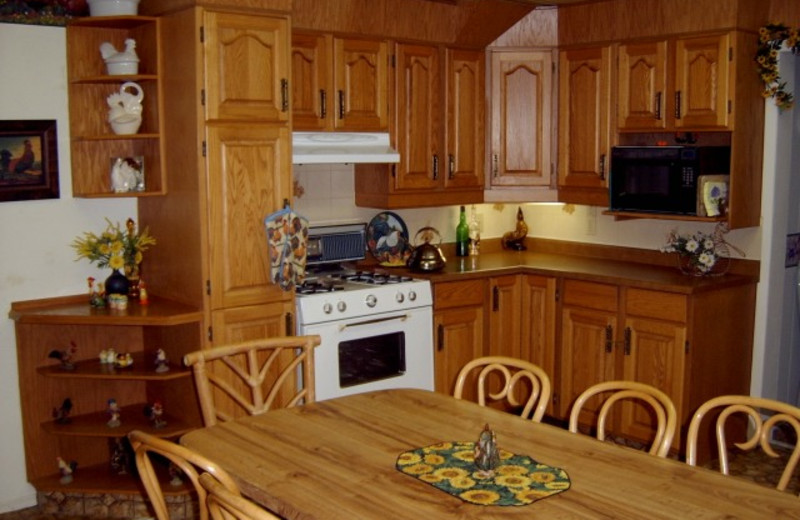 Cabin kitchen at Kramer Pond Lodge.