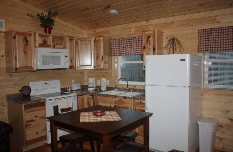 Cabin kitchen at Hocking Hills Backwoods Retreat.