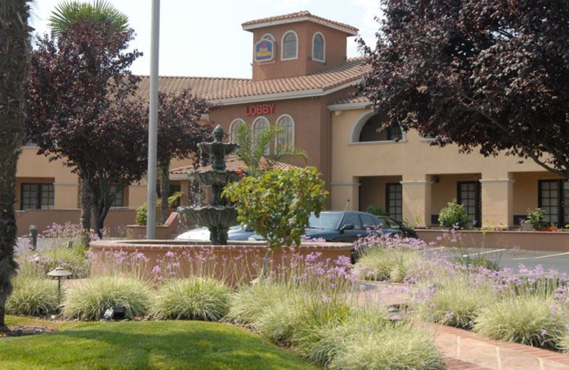 Exterior View of Best Western Plus Brookside Inn