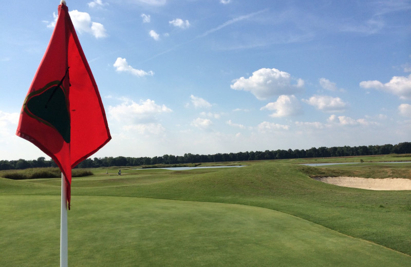 Golf course near Hollywood Casino Tunica.