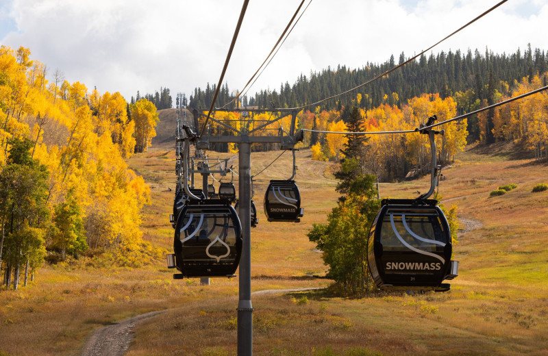 Gondola at The Stonebridge Inn.