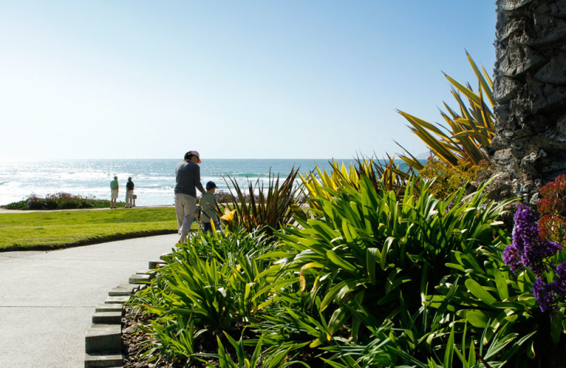 Powerhouse Park in Del Mar, California