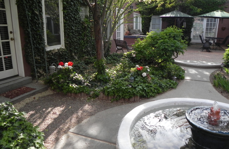 Courtyard at Sarabande Bed & Breakfast.