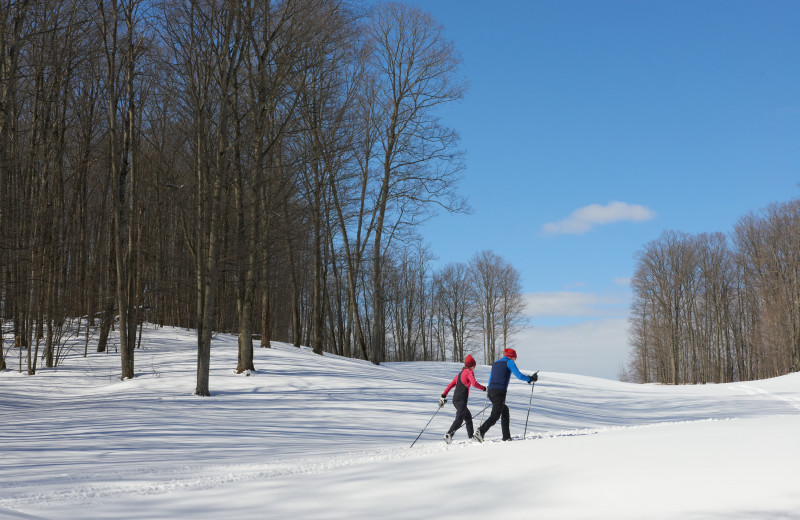Cross country ski at Crystal Mountain Resort.