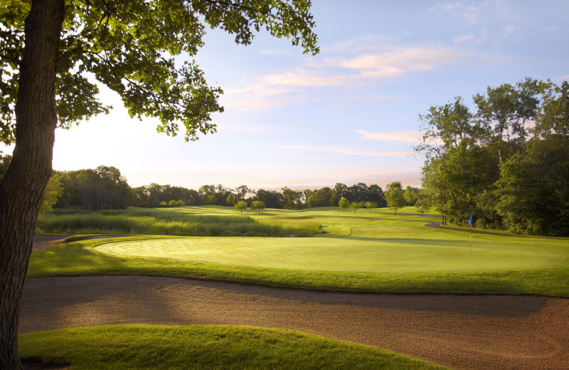 The Legacy Courses at Craguns near Samara Point Resort.