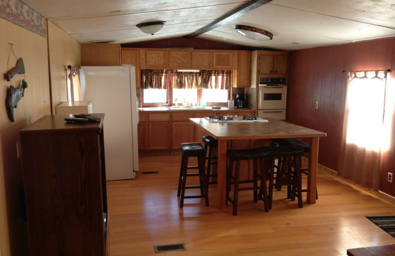 Cabin kitchen at River Bend Resort.