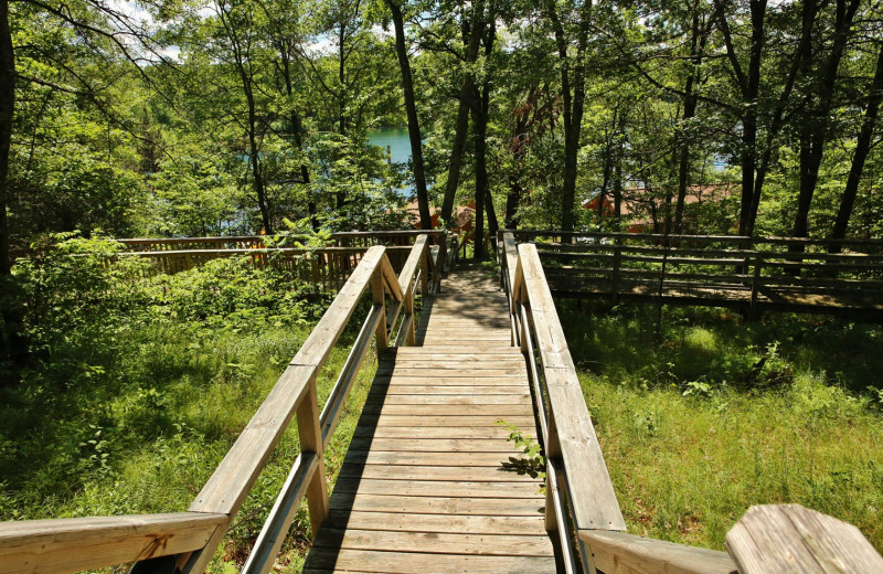 Stairs at Pine Terrace Resort.