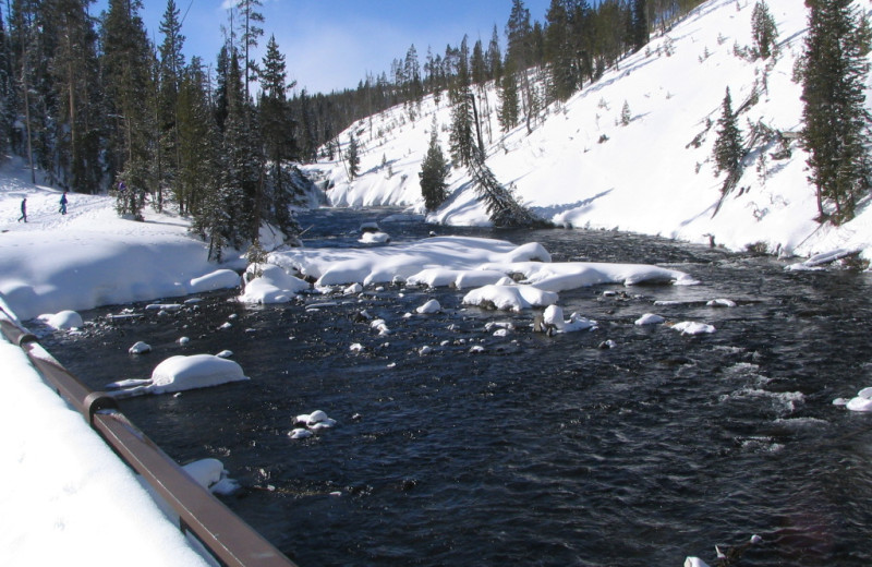 Winter view at Yellowstone Wildlife Cabins.