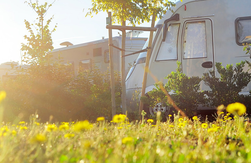 RV camping at Yogi Bear's Jellystone Park Hill Country.