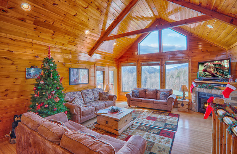 Spend your holidays at SmokyMountains.com.