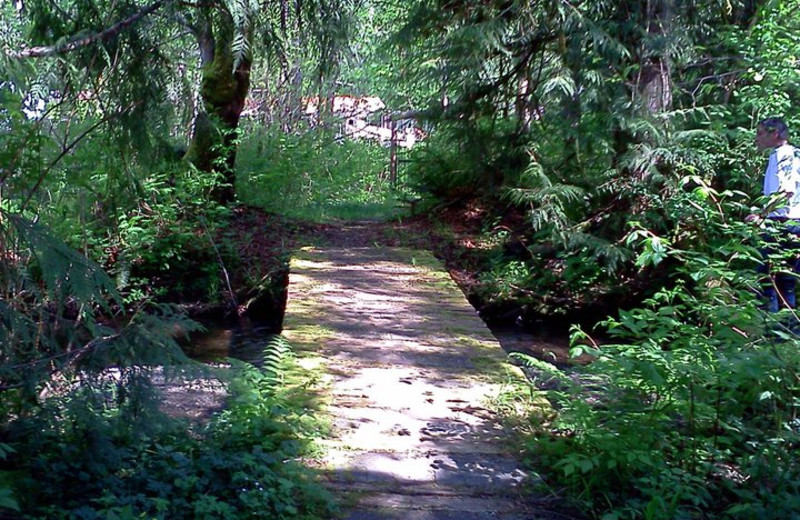 Nature trails at Hood Canal Cottages.