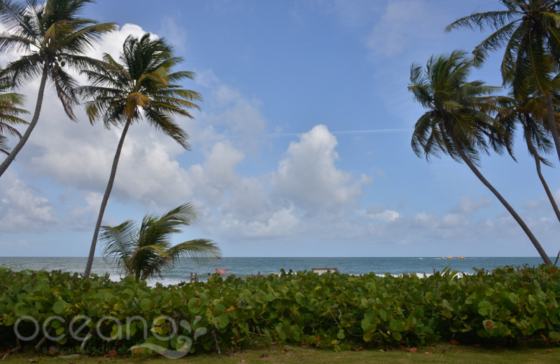 The beach at Oceano Beach Resort.