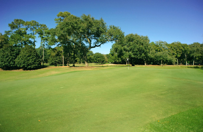 Golf at Pawleys Plantation Golf 