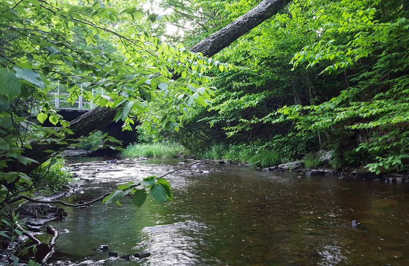 Creek at Tug Hill Resort.