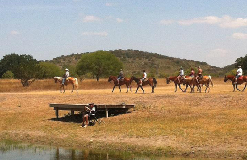 Trail rides at Neal's Lodges.