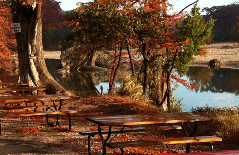 Picnic tables at Neal's Lodges.