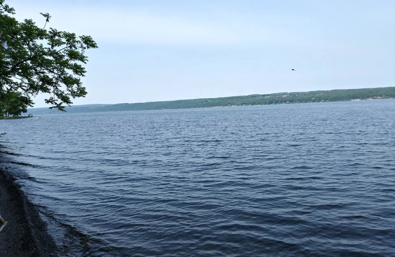 Lake at The Fox and The Grapes Bed and Breakfast.