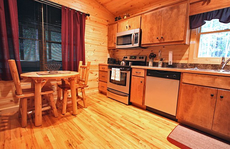 Cabin kitchen at Sautee Resorts.