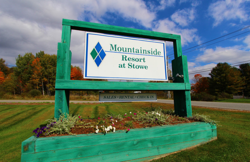 Welcome to Mountainside at Stowe.