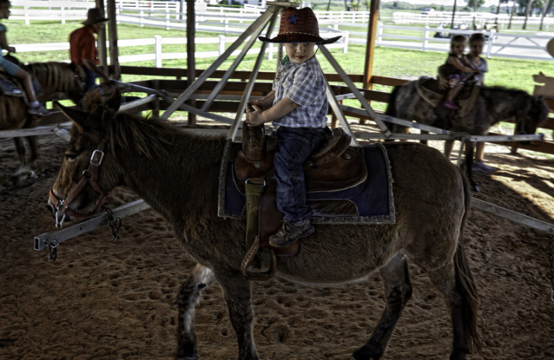 Donkey rides at Westgate River Ranch Resort & Rodeo.