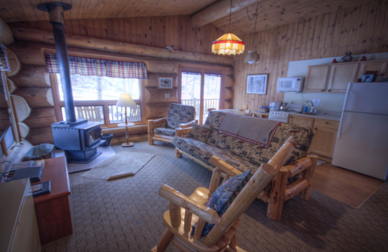 Cabin living room at Cascade Lodge.