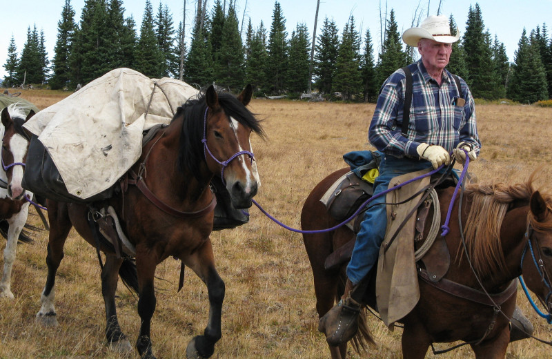 Hunting at Trappers Lake Lodge & Resort.