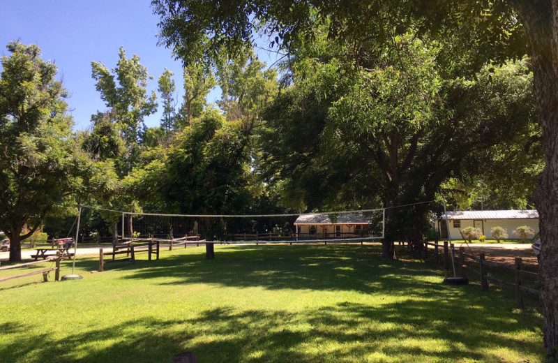 Volleyball at Heart of Texas Lake Resort.