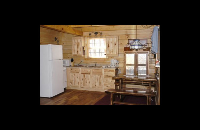 Cabin kitchen at Honey Fork Properties.