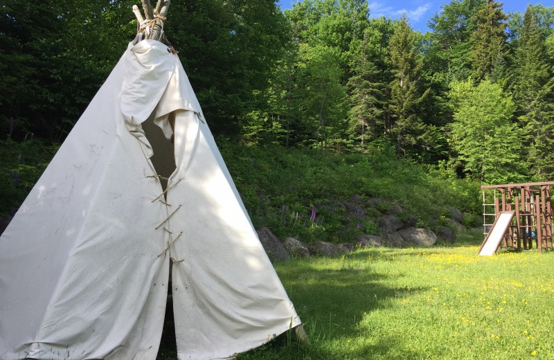 Teepee at Grant's Camps.